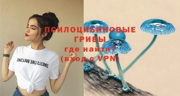 твердый Михайлов