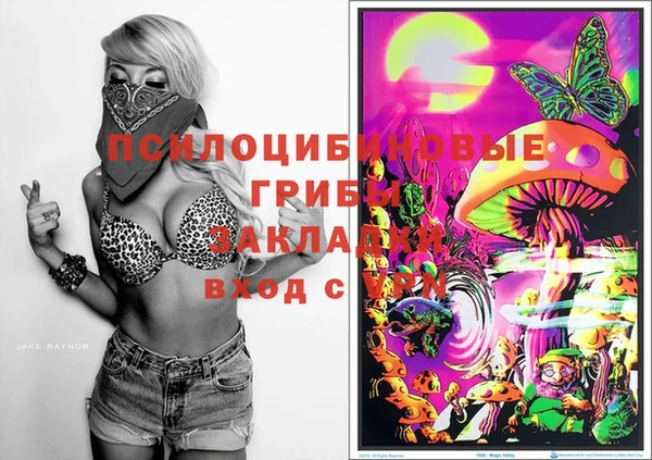 мдпв Бежецк