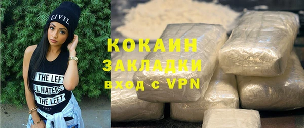 твердый Михайлов