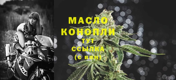 твердый Михайлов