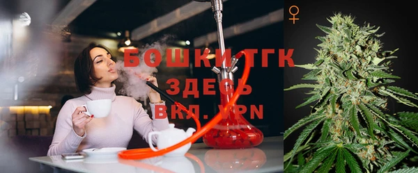 твердый Михайлов