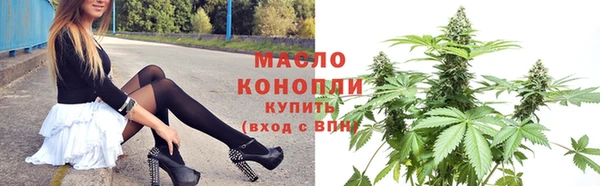 твердый Михайлов