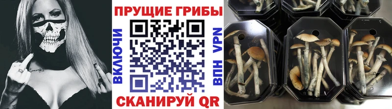 даркнет сайт  Зея  маркетплейс как зайти  Галлюциногенные грибы мицелий 
